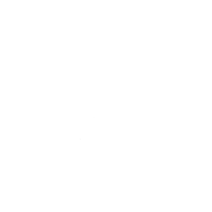 hokushinryu